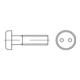 DIN 85/ISO 1580 Diebstahlhemmende Linsenkopfschraube Zweilochantrieb, Edelstahl A2-70, blank-1