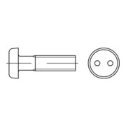 DIN 85/ISO 1580 Diebstahlhemmende Linsenkopfschraube Zweilochantrieb, Edelstahl A2-70, blank