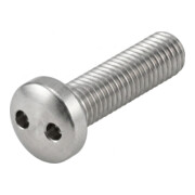 DIN 85/ISO 1580 Diebstahlhemmende Linsenkopfschraube Zweilochantrieb, Edelstahl A2-70, blank-1