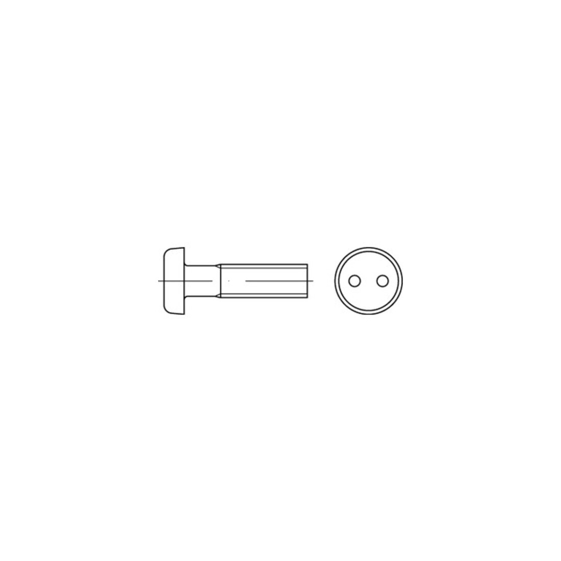 DIN 85/ISO 1580 Diebstahlhemmende Linsenkopfschraube Zweilochantrieb, Edelstahl A2-70, blank