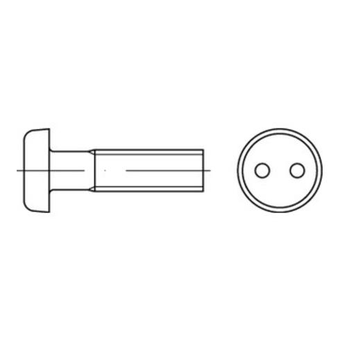 DIN 85/ISO 1580 Diebstahlhemmende Linsenkopfschraube Zweilochantrieb, Edelstahl A2-70, blank