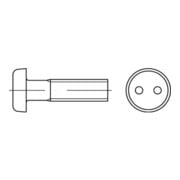 DIN 85/ISO 1580 Diebstahlhemmende Linsenkopfschraube Zweilochantrieb, Edelstahl A2-70, blank