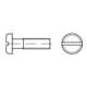 DIN 85/ISO 1580 Flachkopfschraube M6x16 Polyamid blank Schlitz