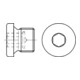 DIN 908 Verschlussschraube mit Bund und Innensechskant, zylindrisches FEIN-Gewinde, ST M33x2 HP-1