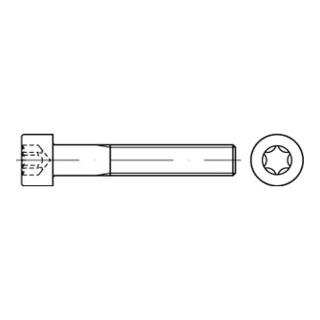 DIN 912/ISO 14579 Zylinderkopf-Schaftschraube Stahl 8.8 galvanisch verzinkt TX