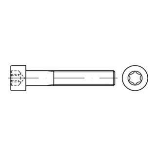 DIN 912/ISO 14579 Zylinderkopf-Schaftschraube Stahl 8.8 galvanisch verzinkt TX