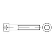 product.name