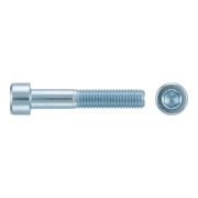 product.name