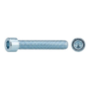 product.name