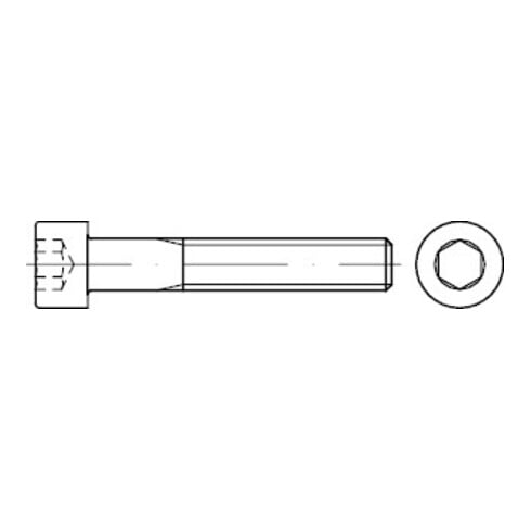 DIN 912 Vis à tête cylindrique, empreinte hexagonale, 12.9 flZnnc 480h-L flZn M24x170HP