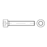 DIN 912 Vis à tête cylindrique, six pans creux, 8.8 galZn M6x70 HP