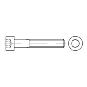 DIN 912 Zylinderschraube, mit Innensechskant, 10.9 galZn getemp. M6x12 HP