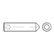 DIN 914 Gewindestift mit Spitze und Innensechskant, Edelstahl A1/A2 M2x6 HP