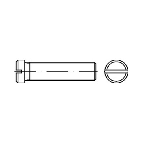DIN 920 Flachkopfschraube mit Schlitz, kleiner Kopf, 5.8 galZn M3x10 HP