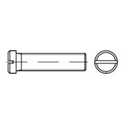 DIN 920 Flachkopfschraube mit Schlitz, kleiner Kopf, 5.8 galZn M3x5 HP 0