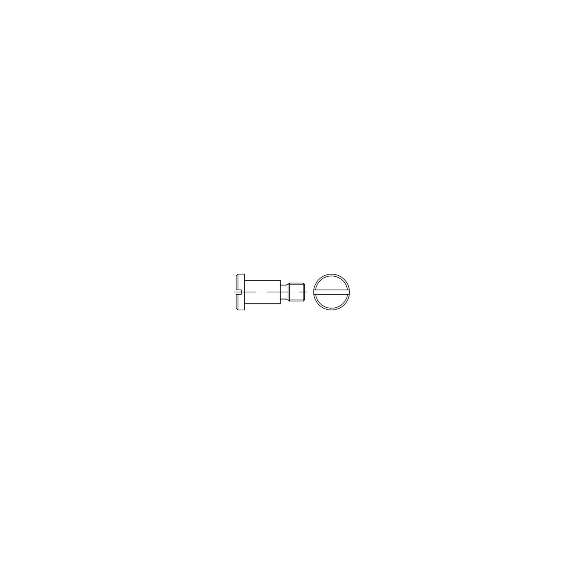 DIN 923 Flachkopfschraube mit Schlitz und Ansatz, ohne Freistich, 5.8 galZn M4x2 HP ; Industrial Quality Supplies