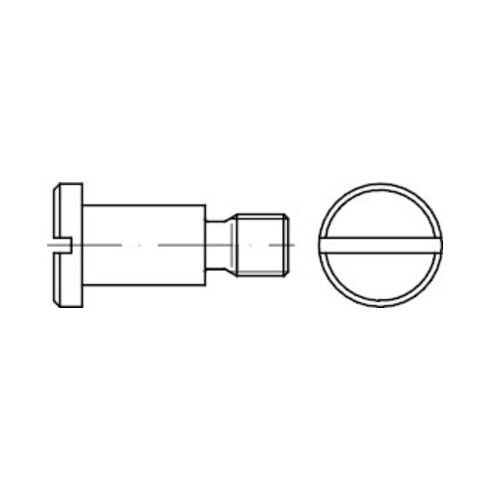 DIN 923 Flachkopfschraube mit Schlitz und Ansatz, ohne Freistich, 5.8 galZn M4x3 HP