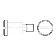 DIN 923 Flachkopfschraube mit Schlitz und Ansatz, ohne Freistich, Edelstahl A1 M8x20 HP-1