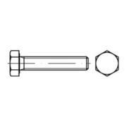 DIN 933 / ISO 4017 Sechskantschraube Polyamid blank-3
