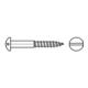 DIN 96 Halbrund-Holzschraube 6x80 Messing blank Schlitz