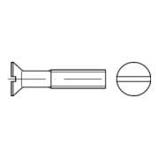 DIN 963 Senkschraube mit Schlitz, 4.8 galZn M2x10 HP