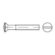 DIN 964 Linsensenkschraube mit Schlitz, Edelstahl A2 M5x80 KP
