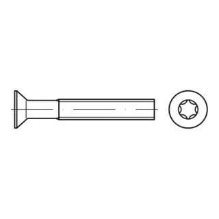 DIN 965 Form CE Senkkopfschraube M2x3 Edelstahl A4 blank T6