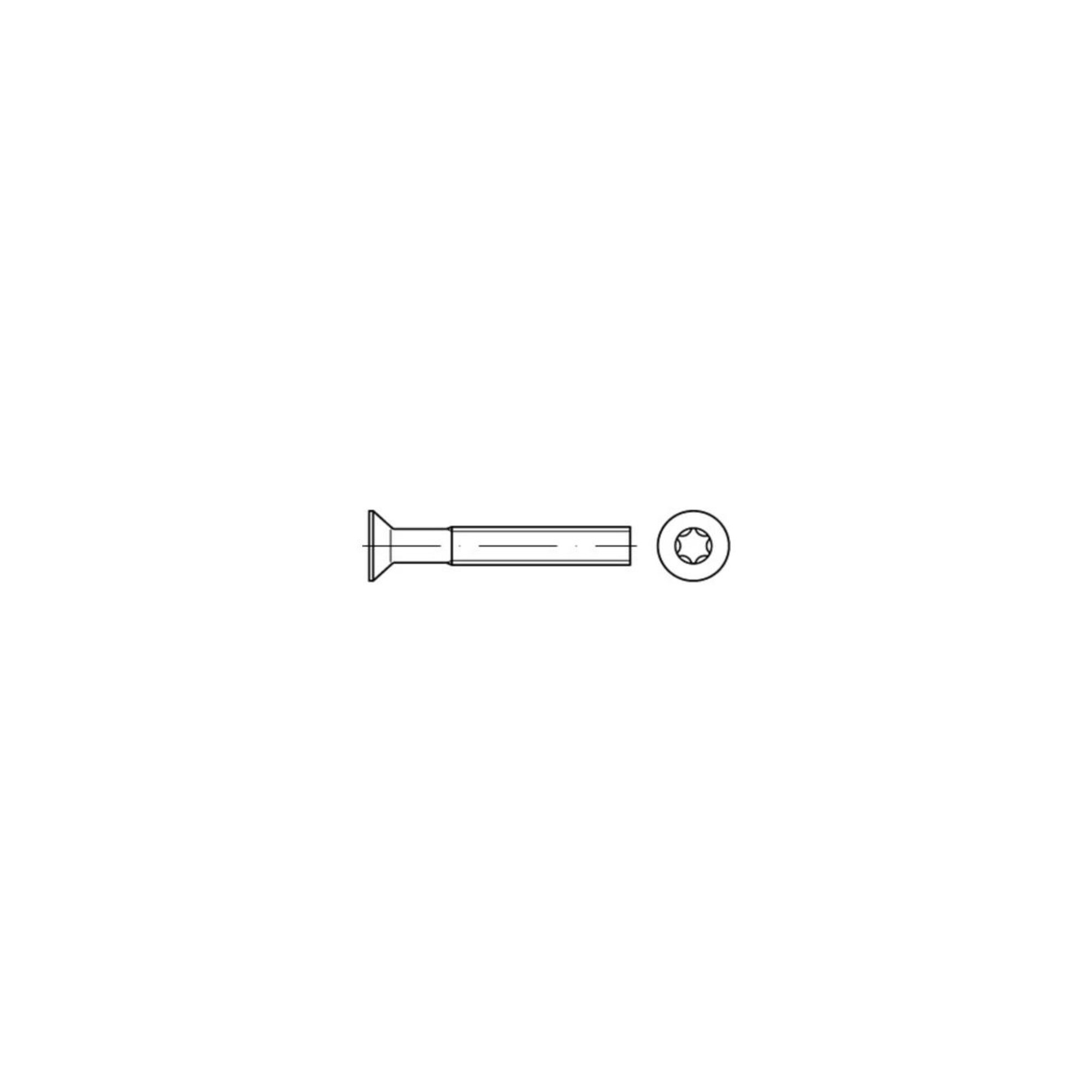 DIN 965 Form CE Senkkopfschraube M6x30 Edelstahl A2 blank T30 ; Industrial Quality Supplies