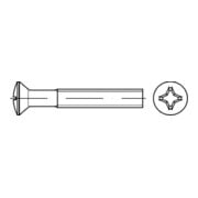 DIN 966 Linsensenkschraube, Phillips-Kreuzschlitz PH, 4.8 -H galZn M6x45 HP
