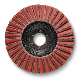 Disco abrasivo lamellare, Versione morbido, Ø 125 mm, Conf. 5 pz.