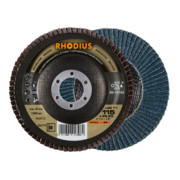 RHODIUS PROline LGZ F1 disque à lamelles