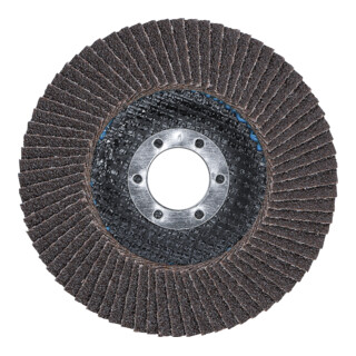BGS Disque abrasif en éventail pour fixation 22,2 mm