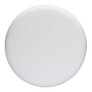 Disque mousse Bosch 170 mm-1