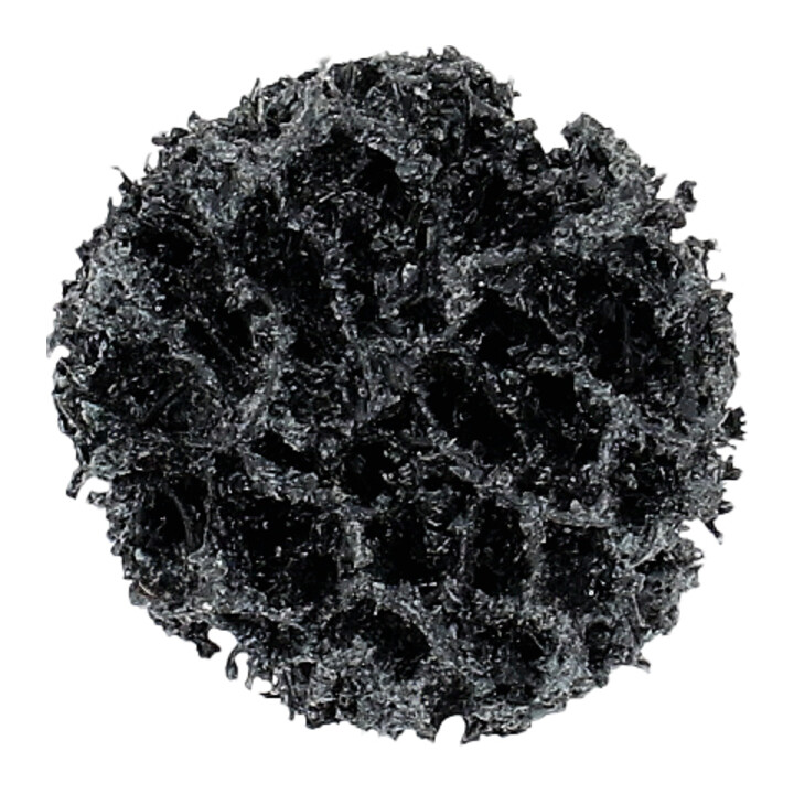 Disques de ponçage, Ø26,7mm, noir, pack de 10