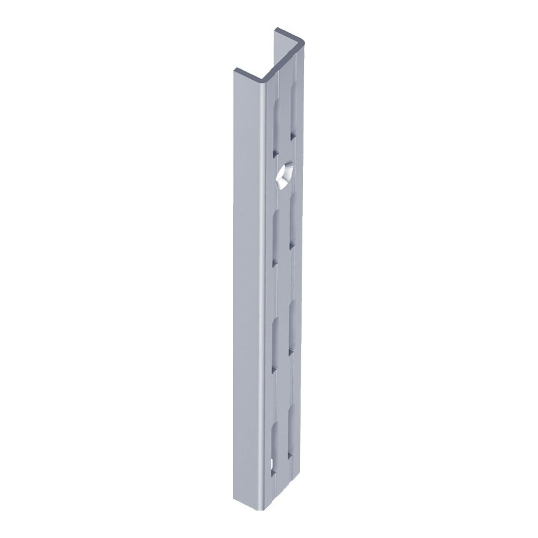 DIY, Rail mural 10002 double rangée, L 2,060 mm blanc