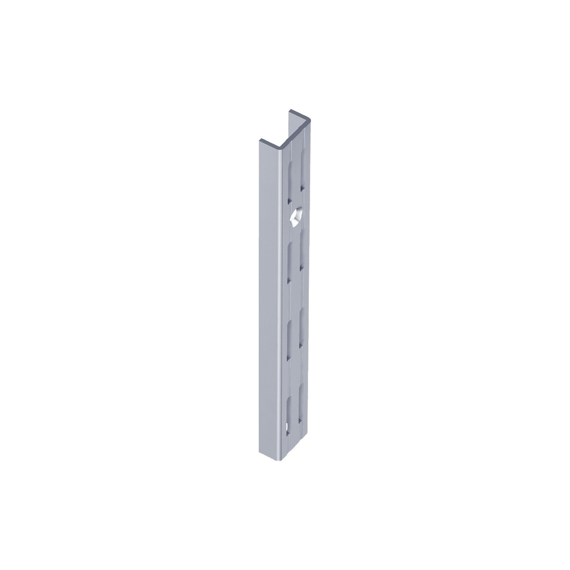 DIY, Wandschiene 10001 zweireihig,L 2.000mm grau, weißaluminium ; Element System