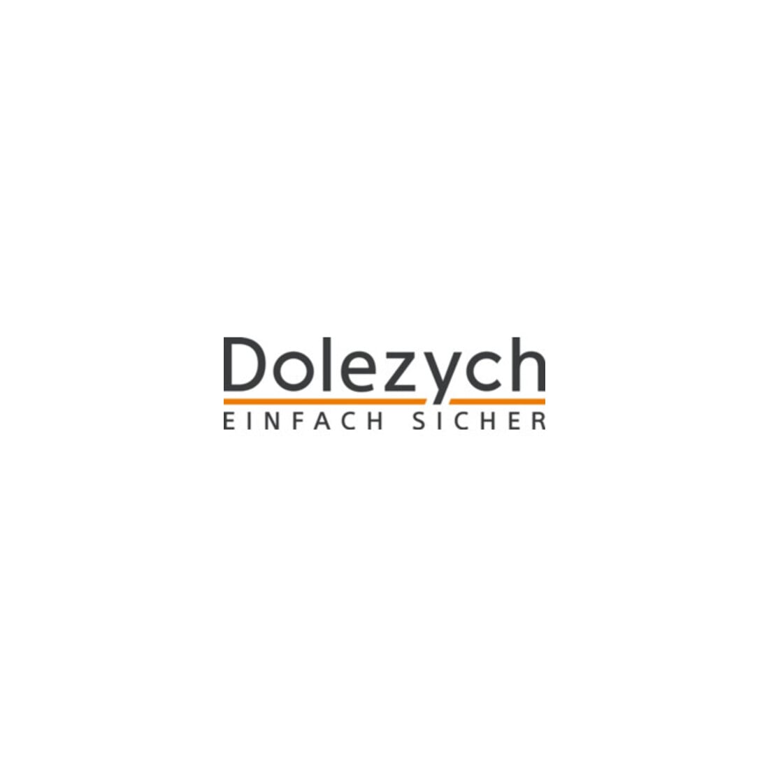 Dolezych Sangle d'arrimage DIN EN 12195-2 L.8m I.50mm avec cliquet + mousqueton h.LC U 4000 daN