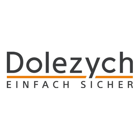 Dolezych Zurrgurt DoZurr 5000 mit Profilhaken, Getriebe-Zug-Ratsche L: 6 m