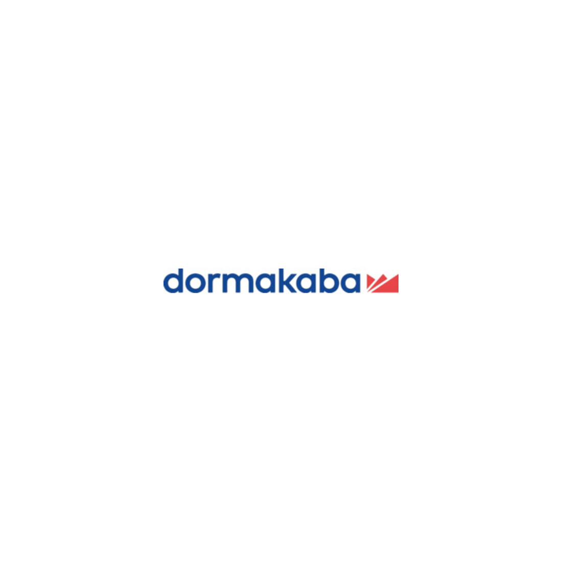 Dorma BTS BTS 80 Stand.EN 4 max.1100mm max.Türgewicht 300kg