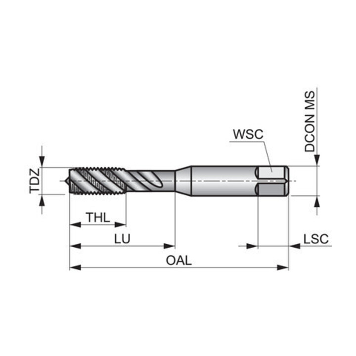 Dormer Gewindebohrer BA4 ISO529 C 2xD HSS vap PMN