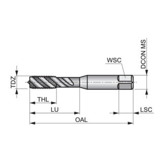 Dormer Gewindebohrer BA6 ISO529 C 2xD HSS PMN vaporisiert