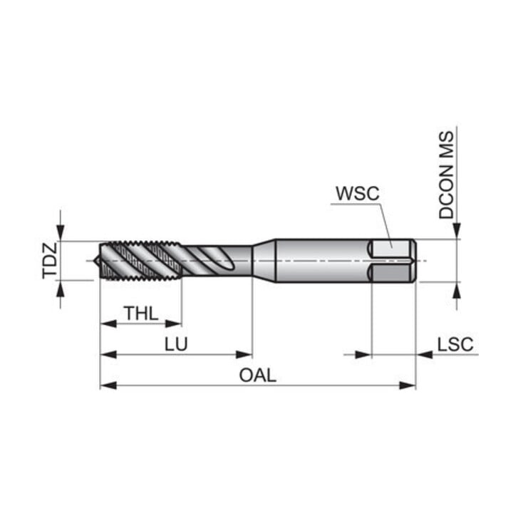 Dormer Gewindebohrer BA8 ISO529 HSS M. C 2xD vap GL PMN