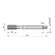 Dormer Gewindebohrer HSSE-PM M8 DIN 376 6HX C 2xD vaporisiert Weißr.