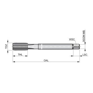 Dormer Gewindebohrer M16 DIN 376 HSSE-PM vaporisiert 2xD 6HX Weißr.