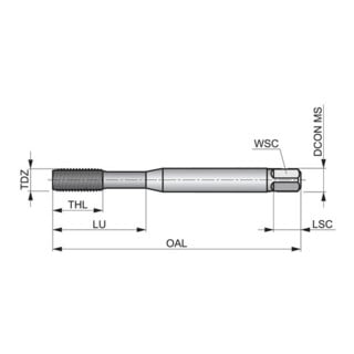 Dormer Gewindeformer HSS-E M4 DIN2174 6GX TiN 3xD