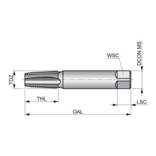Dormer Hand-Gewindebohrer BSPT ISO2284 C 1,5xD 1.1/2" blank HSS