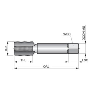 Dormer HSS Gewindebohrer PG DIN40432 PG21 1,5xD blank PKN