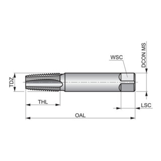 Dormer HSS Handgewindebohrer BSPT ISO2284 1,5xD 2tlg. 1/4" blank PMKN