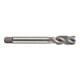 Dormer Taraud BSF 1/4" HSS M ISO529 C 2xD vap PMN