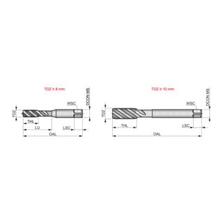 Dormer Taraud EGM M14 2xD HSS brillant 6H C Form